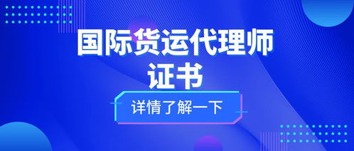 国际货运代理师证 考试难度、核心职责与证书价值全解析